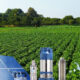 Solar water pumps 2