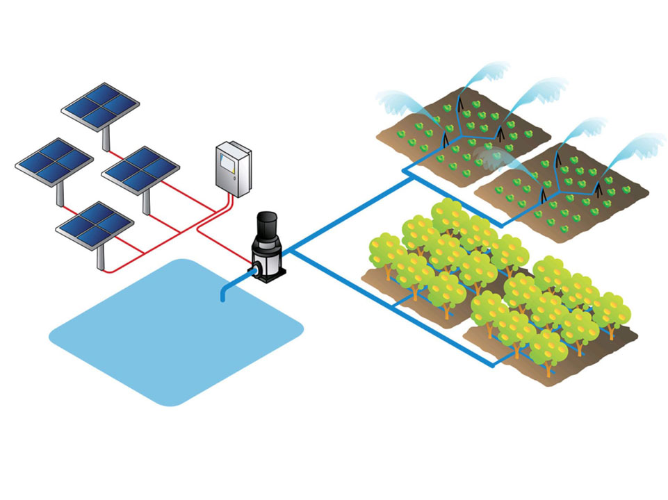 solar water pumps 1